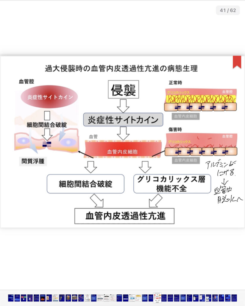 看護師の勉強にはiPadがおすすめ 画像
